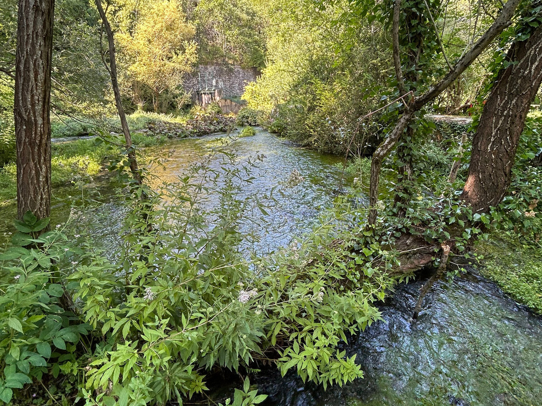 Riserva Naturale Gole del Sagittario-Anversa degli Abruzzi必去景点