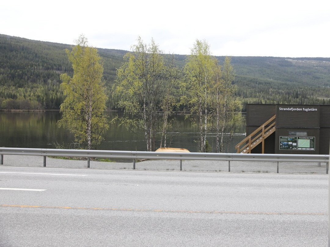 Le Strandafjorden fugletårn