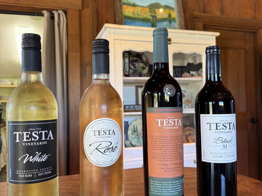 Testa Vineyards-Calpella必去景点