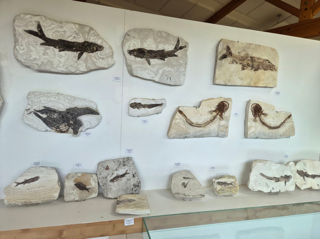 Le Muséum de l’Ardèche-Balazuc必去景点
