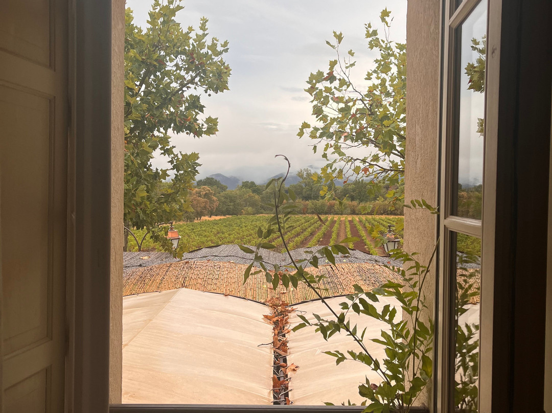 Chateau Saint Roux-Le Cannet-des-Maures必去景点