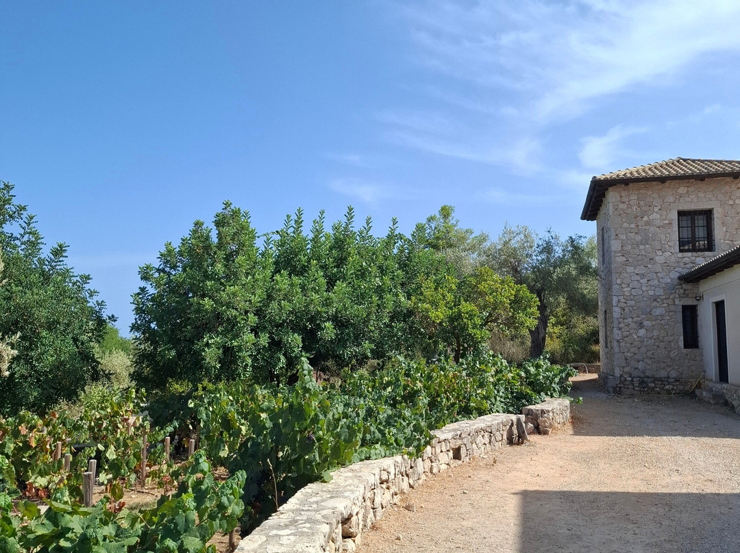 Lefkaditiki Winery-Fterno必去景点