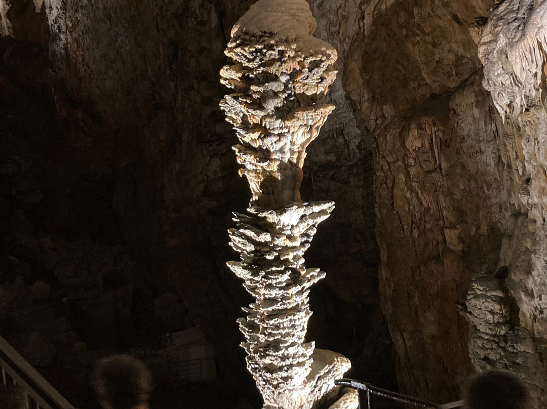 Grotta Gigante-Borgo Grotta Gigante必去景点