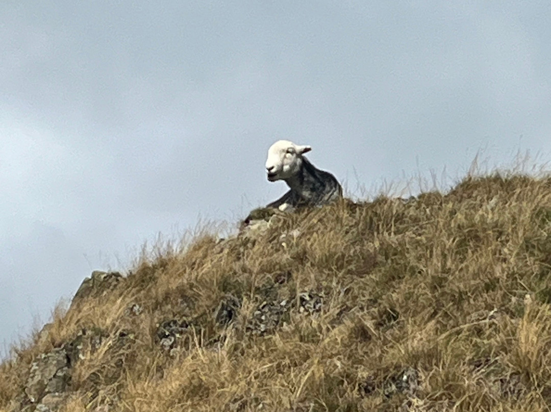 Wrynose Pass-大湖区必去景点