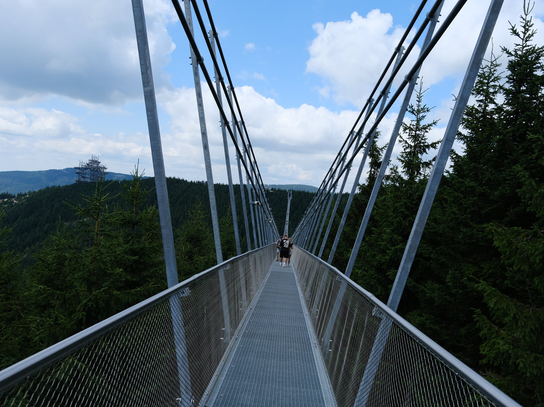 Sky Bridge 721-Dolni Morava必去景点