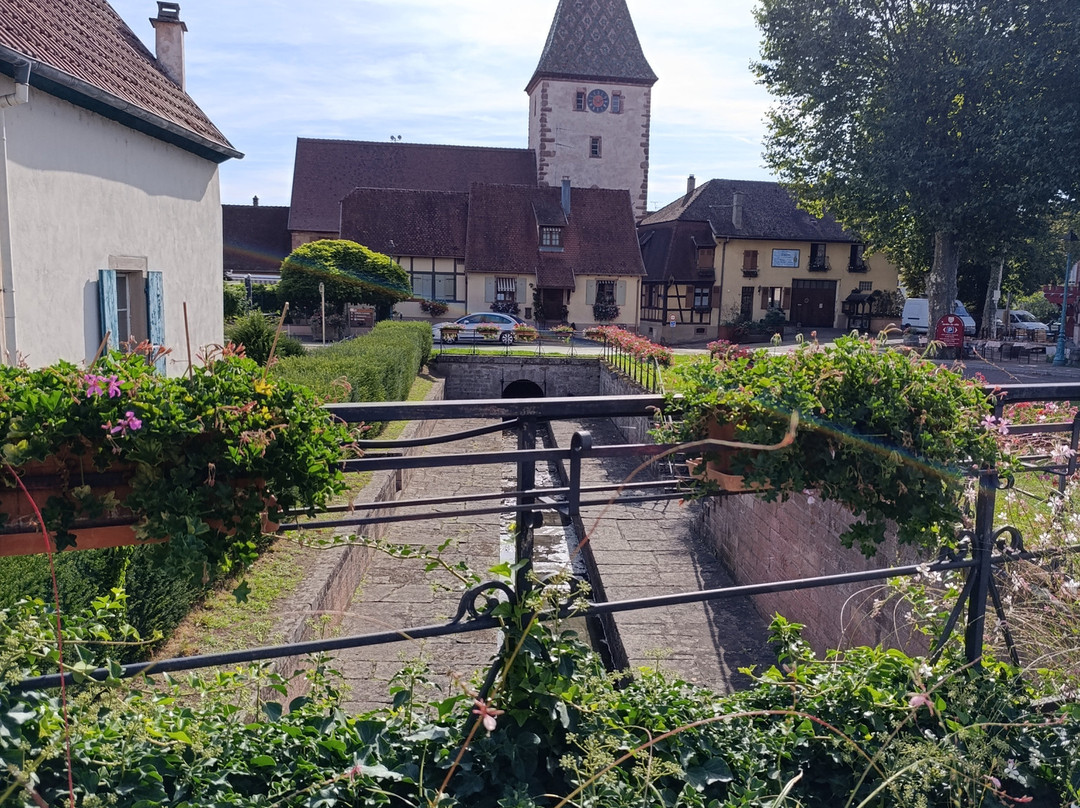 Vieille ville de Bergheim-贝格海姆必去景点