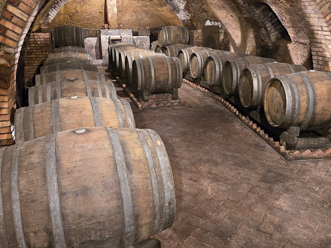 Cantine del Notaio-Rionero in Vulture必去景点