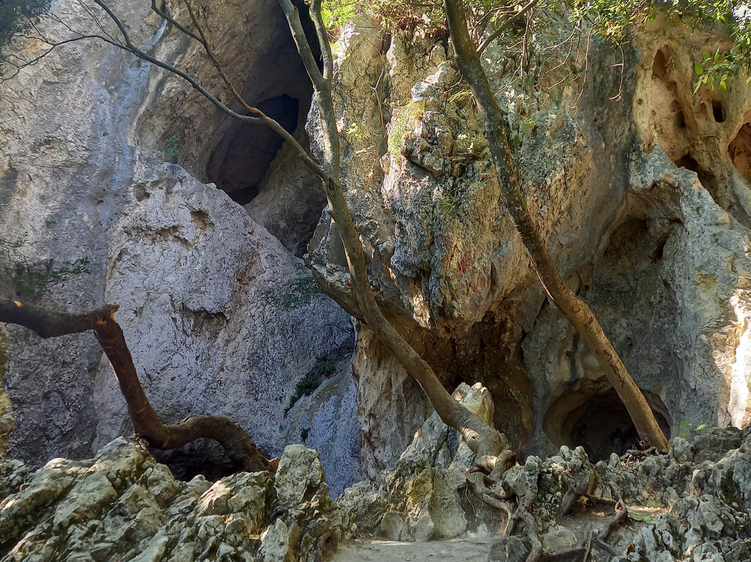 Parco Naturale Regionale della Gola della Rossa e di Frasassi-Serra San Quirico必去景点