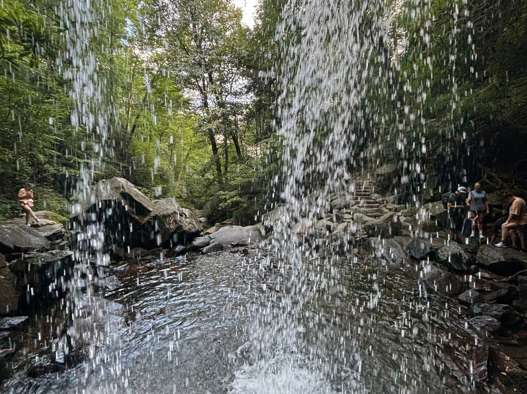 Grotto Falls Trail-大雾山国家公园必去景点