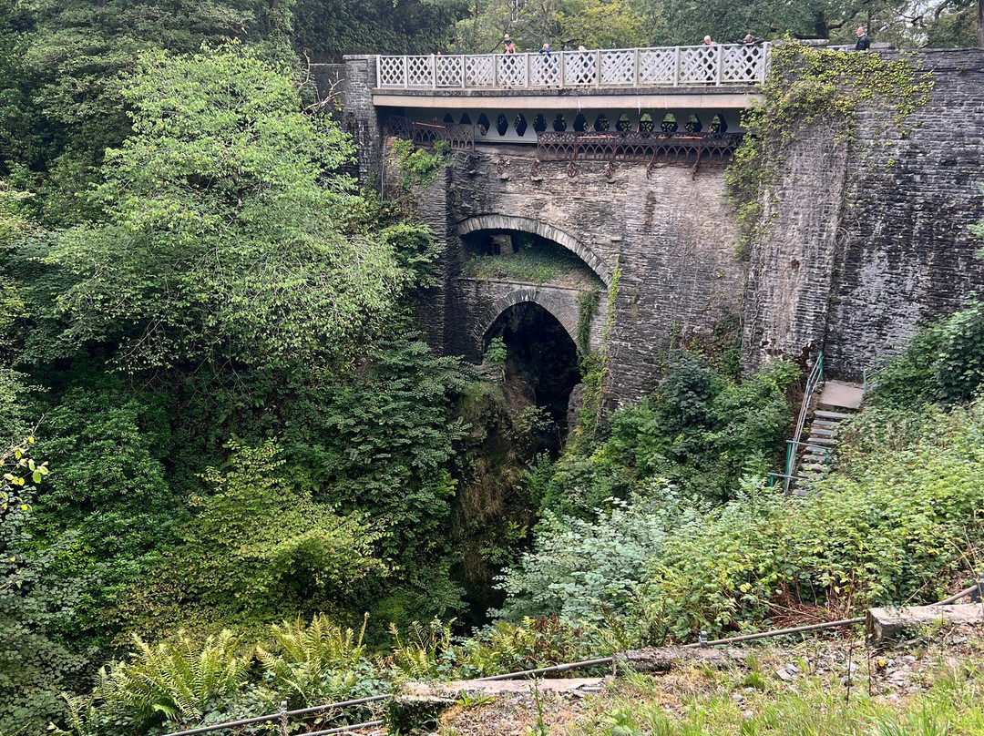 Vale of Rheidol Railway-阿伯里斯特威斯必去景点