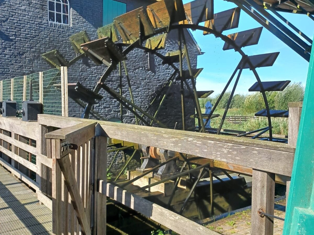 De Kilsdonkse Molen-Heeswijk-Dinther必去景点