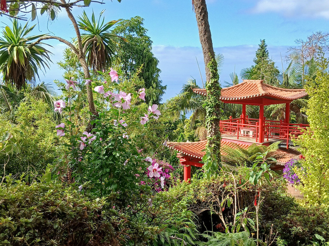 Monte Palace Madeira-沙尔必去景点
