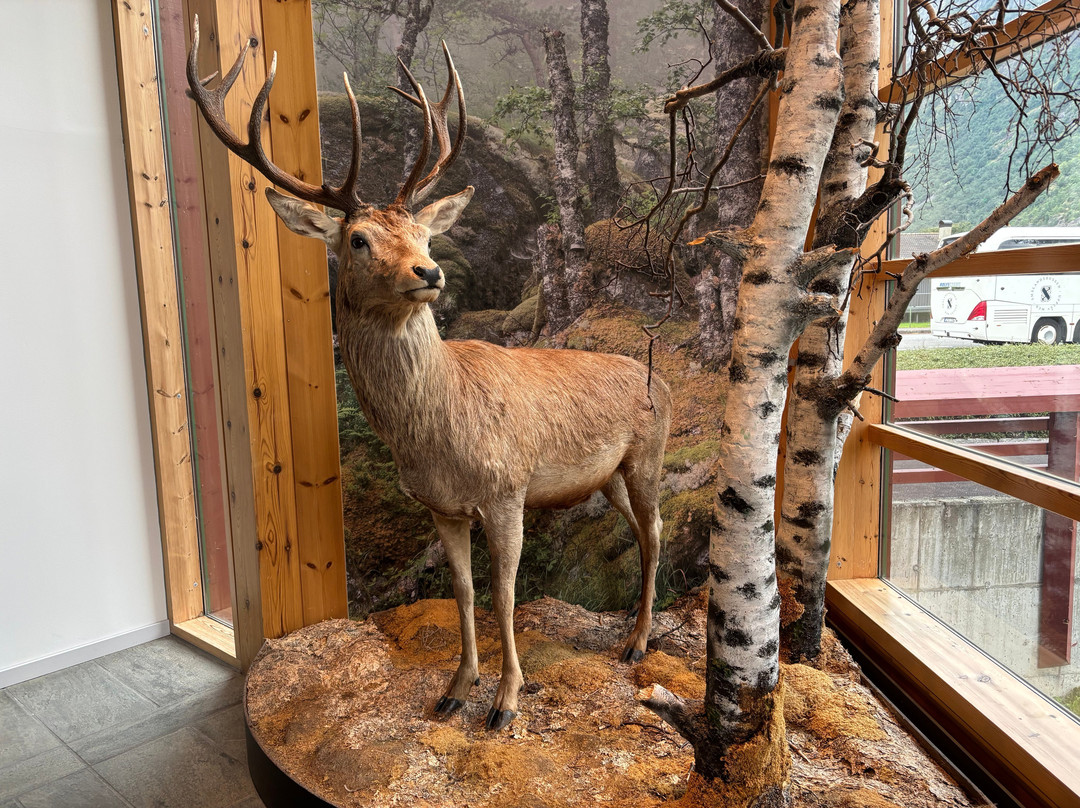 Norsk Natursenter - Hardanger-Eidfjord Municipality必去景点