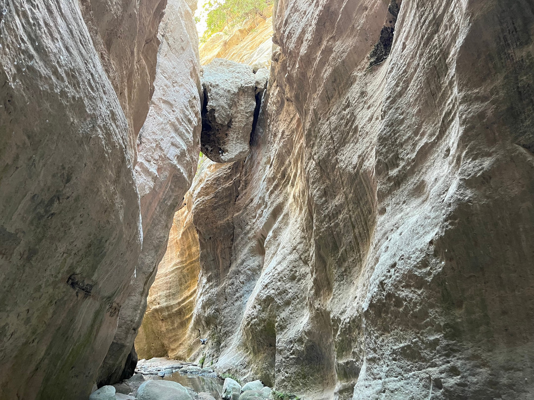 Avakas Gorge-帕福斯必去景点