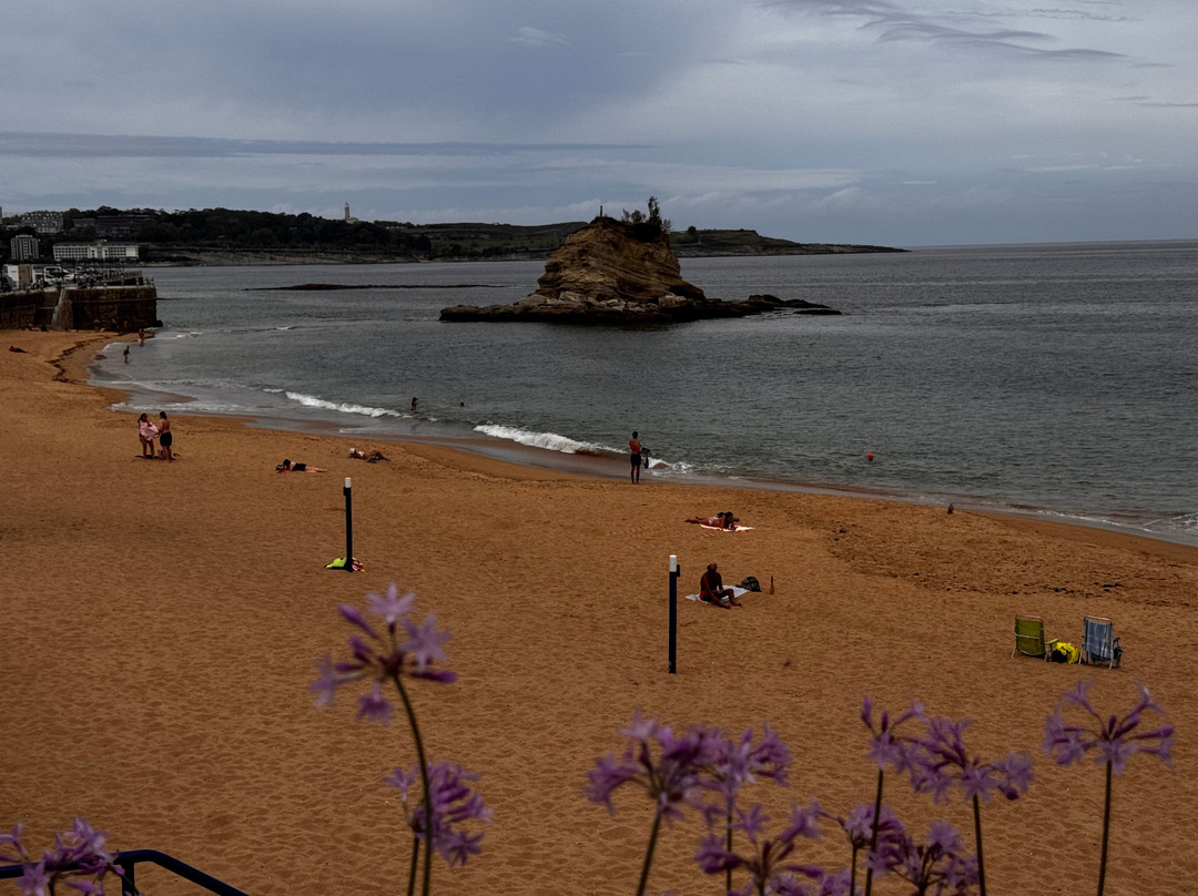 Playa Primera de El Sardinero-桑坦德必去景点