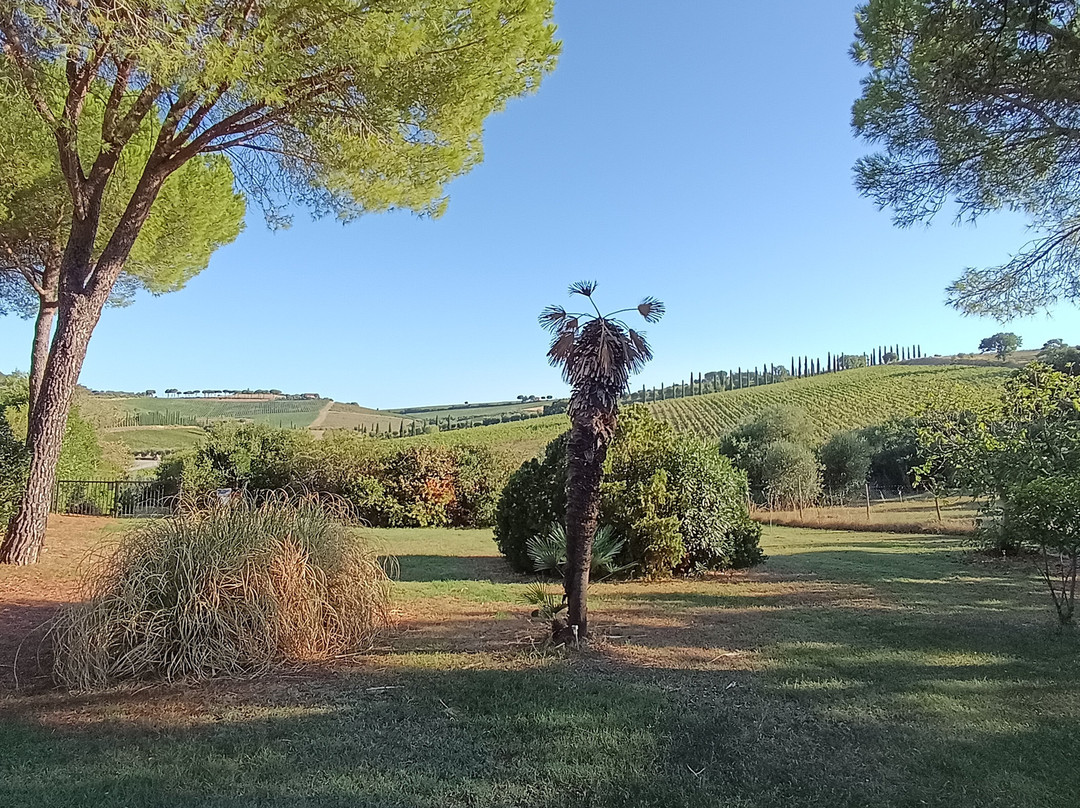 Agriturismo Lo Scalandrino 农家乐主图