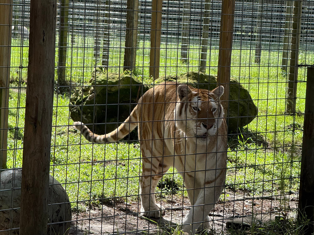 Carson Springs Wildlife Conservation Foundation-盖恩斯维尔必去景点