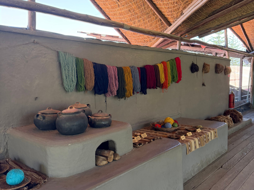 Mundo Alpaca Arequipa-阿雷基帕必去景点