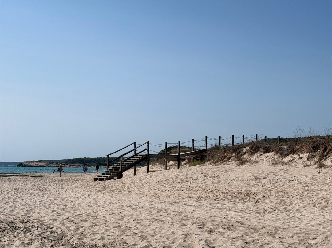 Playa de Son Bou-阿拉约尔必去景点