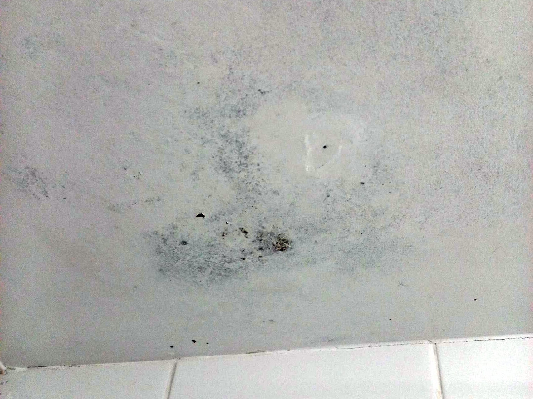 水域边缘的斯特兰德主图