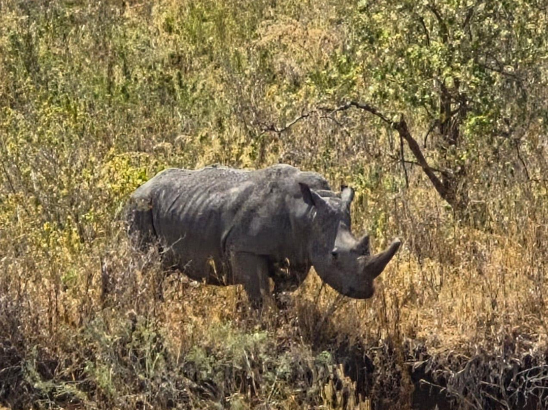 Predators Safari Club-阿鲁沙必去景点