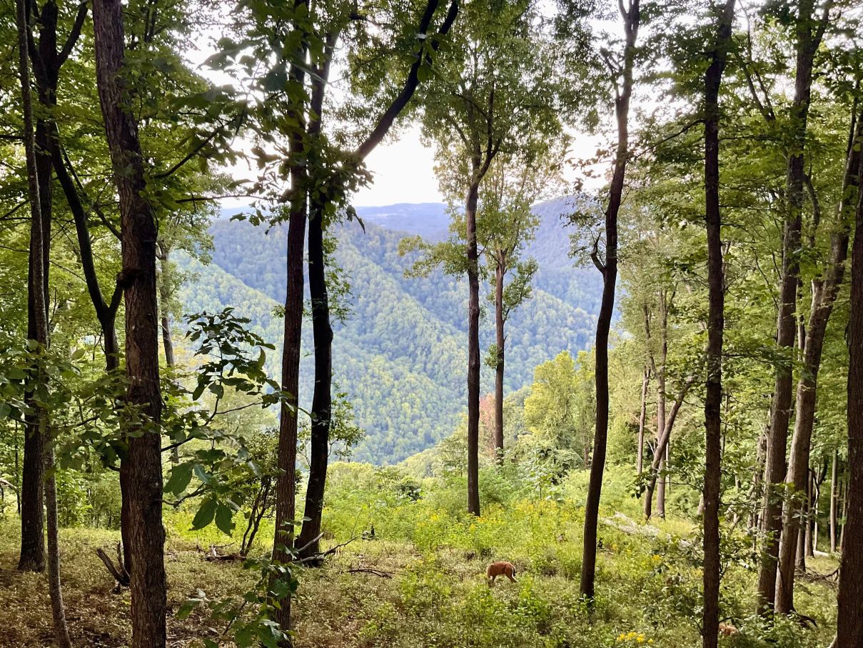 普里兰度假村 - 阿尔伯格度假村精选-旅行者