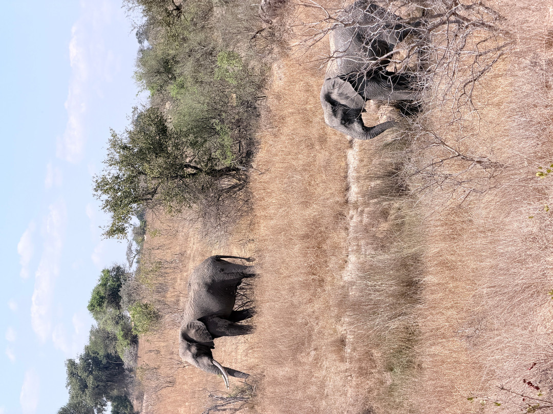 Imire: Rhino & Wildlife Conservation-韦扎必去景点