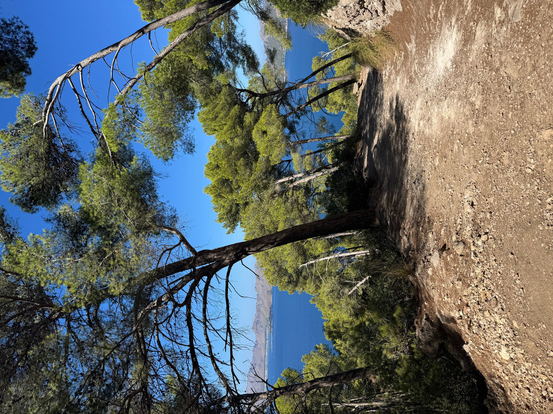 Talaia D’Alcudia-阿库迪亚必去景点