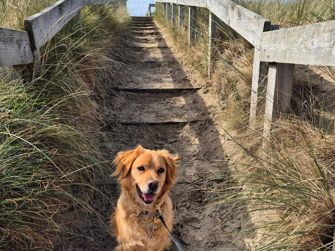 Ynyslas National Nature Reserve-Borth必去景点
