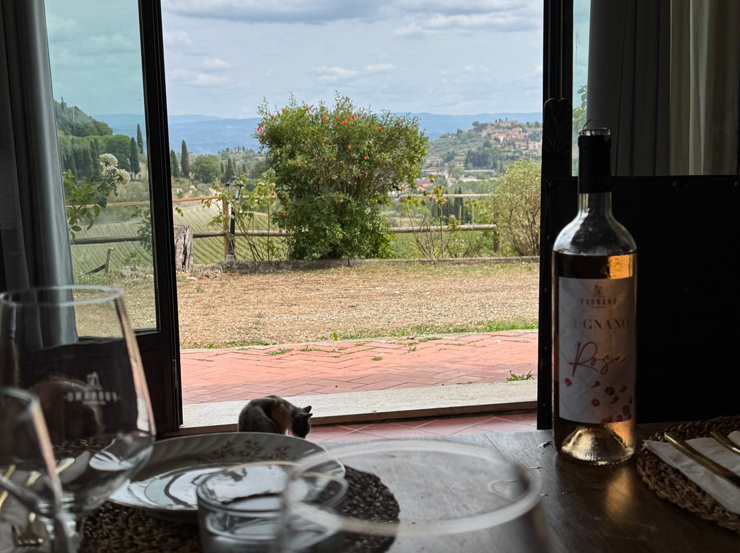 Italy Unfiltered-锡耶纳必去景点