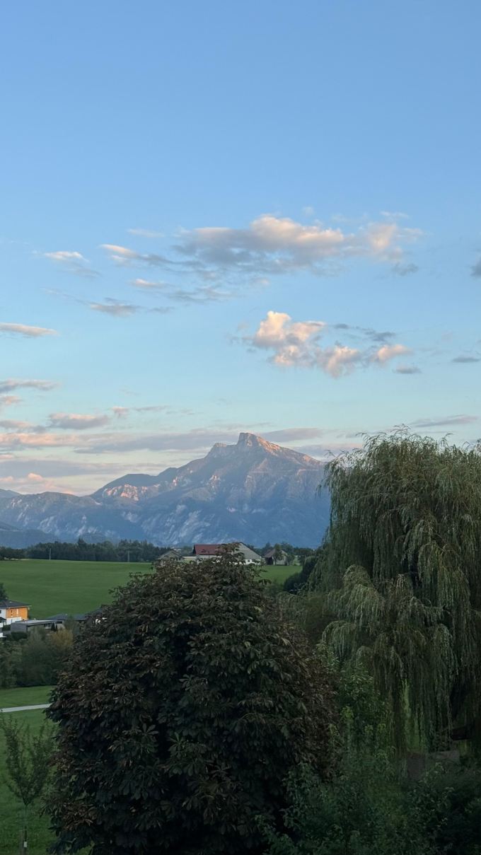 Landhotel Prielbauer-旅行者