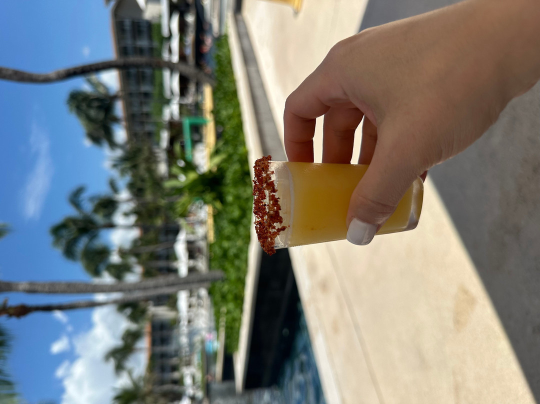 乌尼科玛雅河滨全包式住宿酒店 - 限成人主图