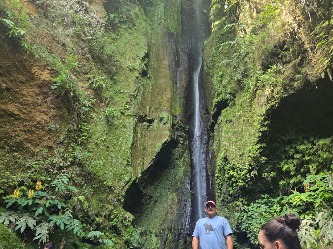Centro de Interpretação Ambiental das Furnas-富尔纳斯必去景点