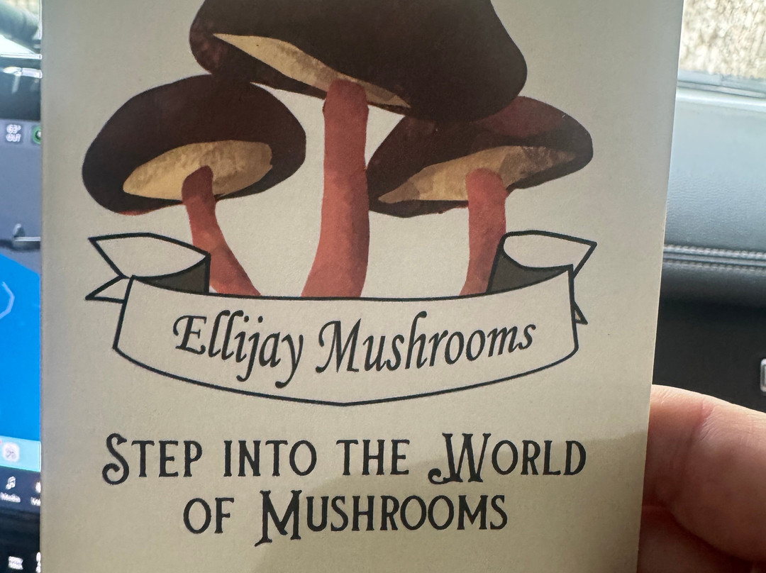 Ellijay Mushrooms - Farm Store-Ellijay必去景点