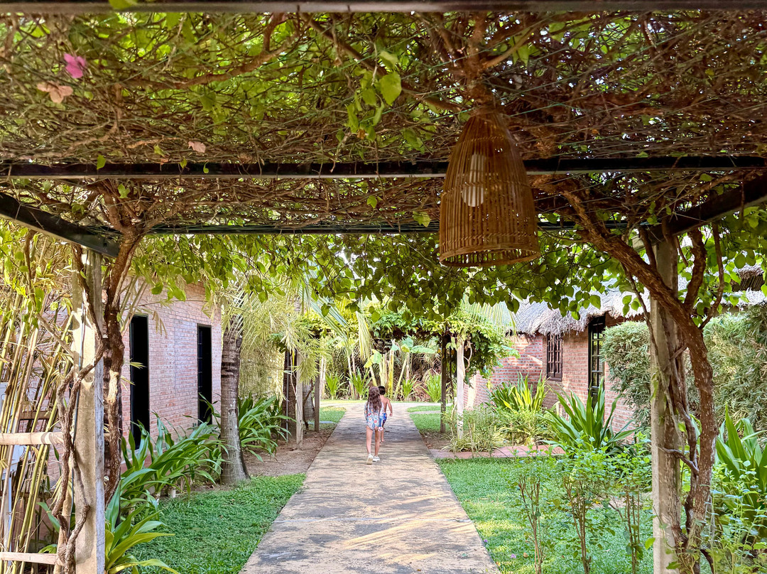 ENSO Retreat Hoi An - Rediscovery & Serenity主图