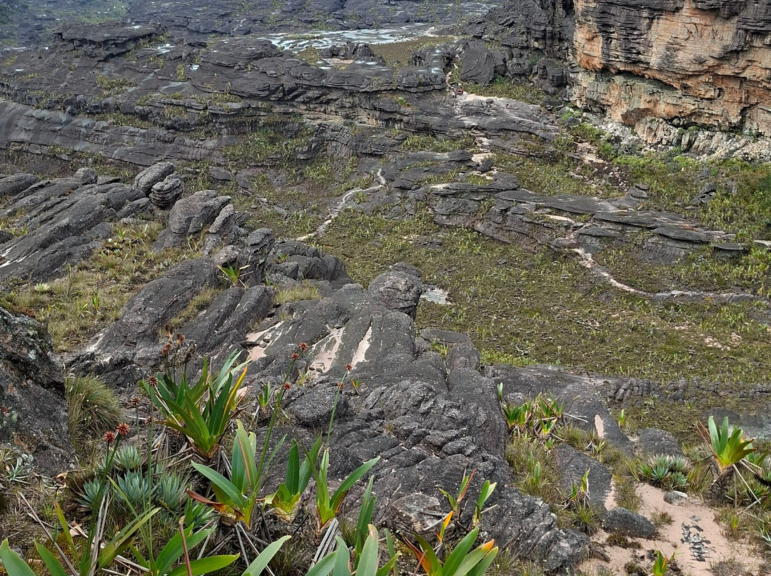 Explora Tepuy-Santa Elena de Uairen必去景点