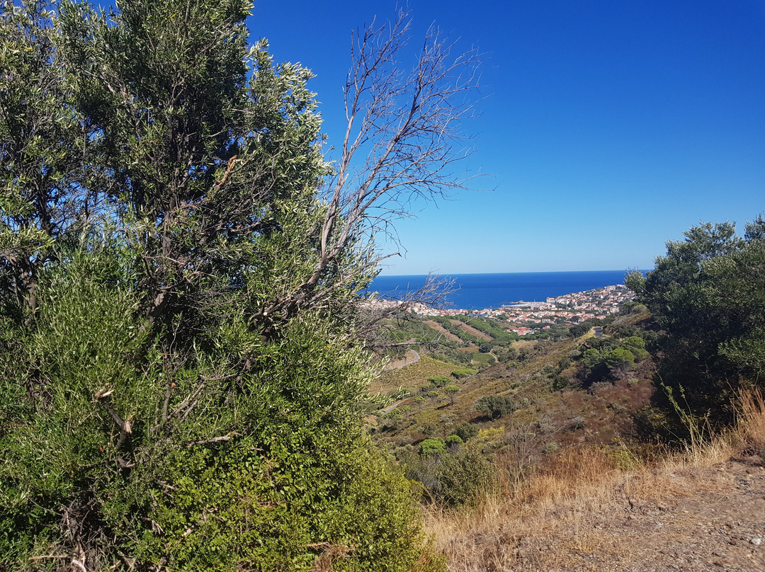 St-Cyprien Plage-Saint-Cyprien必去景点