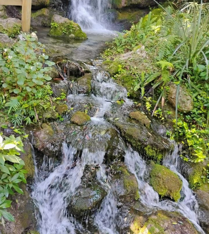 Rainbow Springs State Park-Dunnellon必去景点