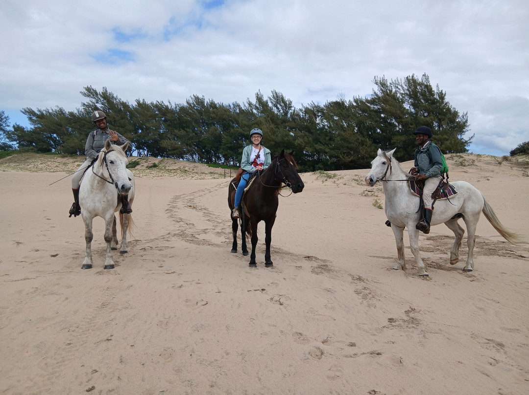 Bhangazi Horse Safaris-圣露西亚必去景点