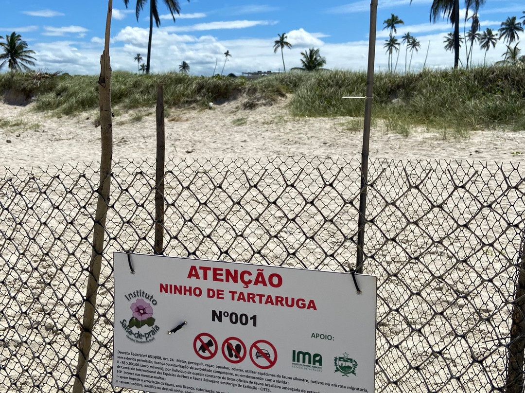 Praia do Francês-Praia do Frances必去景点