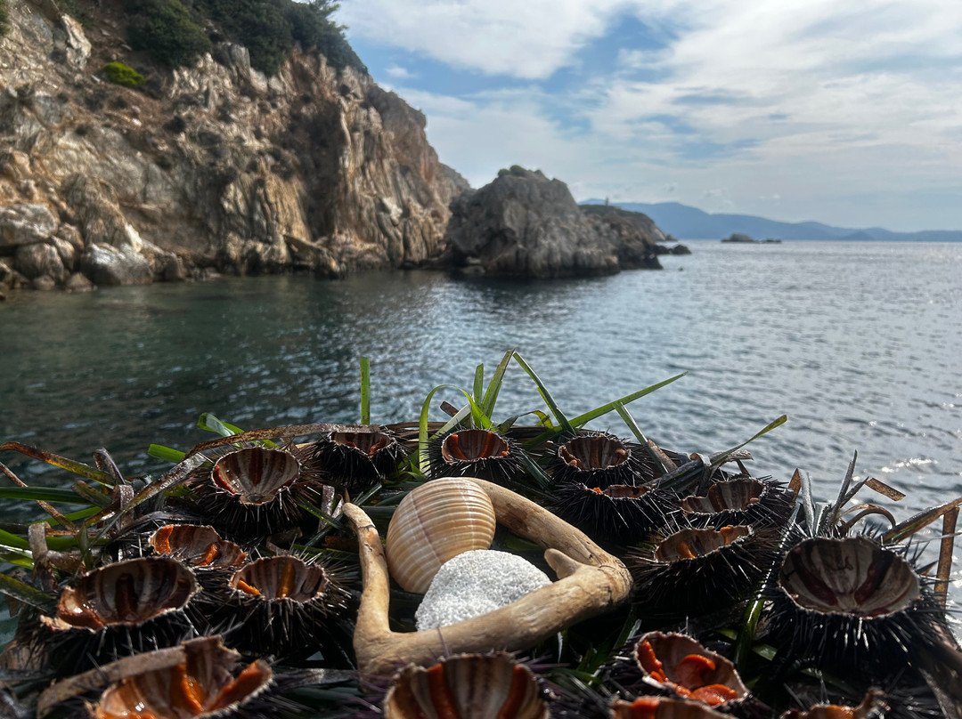 Skiathos Experience-Skiathos Town必去景点