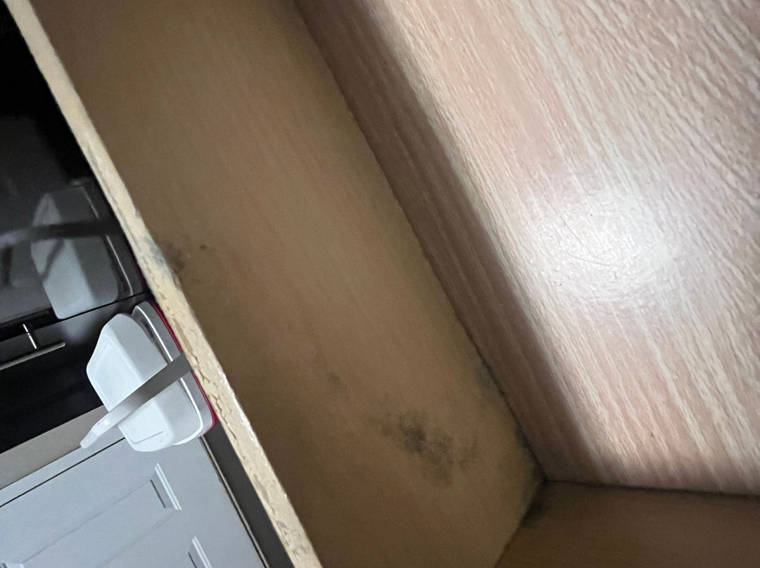 Candlewood Suites 德斯坦，SANDESTIN区主图