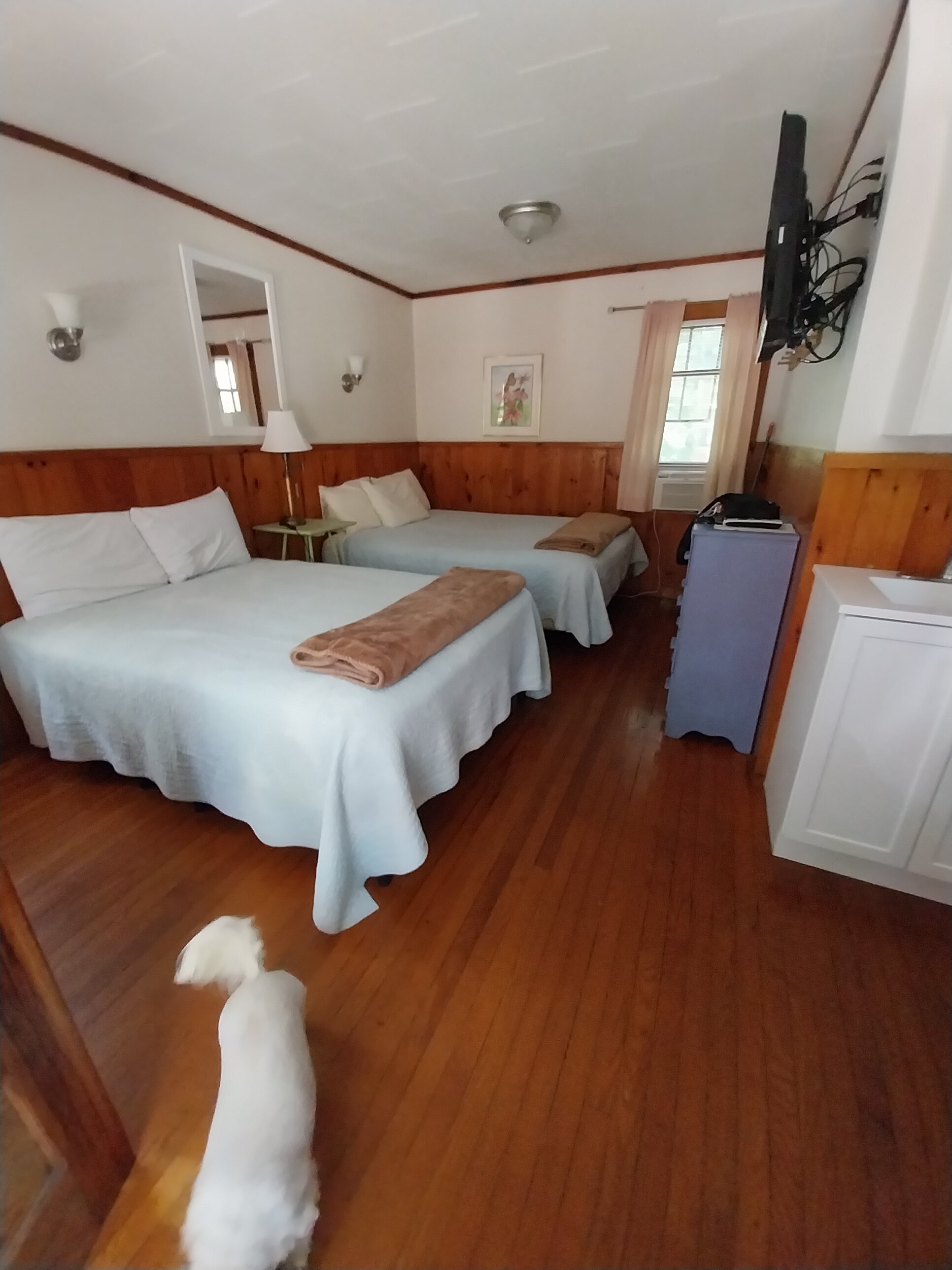 Maine Idyll Motor Court-旅行者