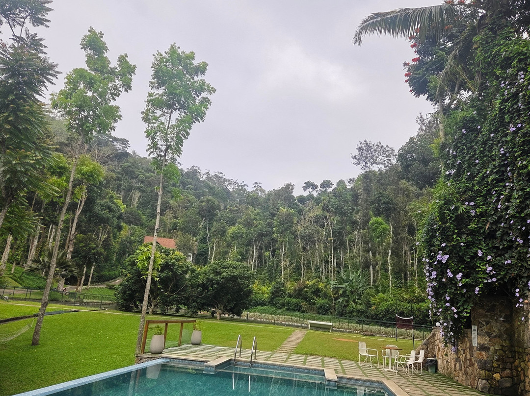 Amaana Plantation Resort主图