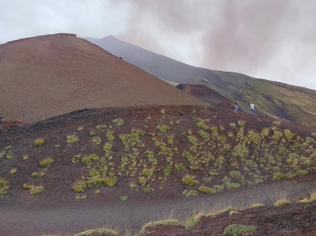 Craters Silvestri of Mount Etna-尼科洛西必去景点