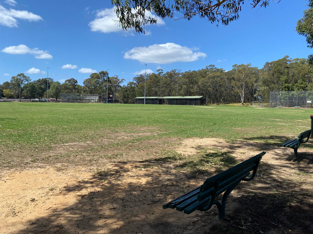 Castle Glen Reserve
