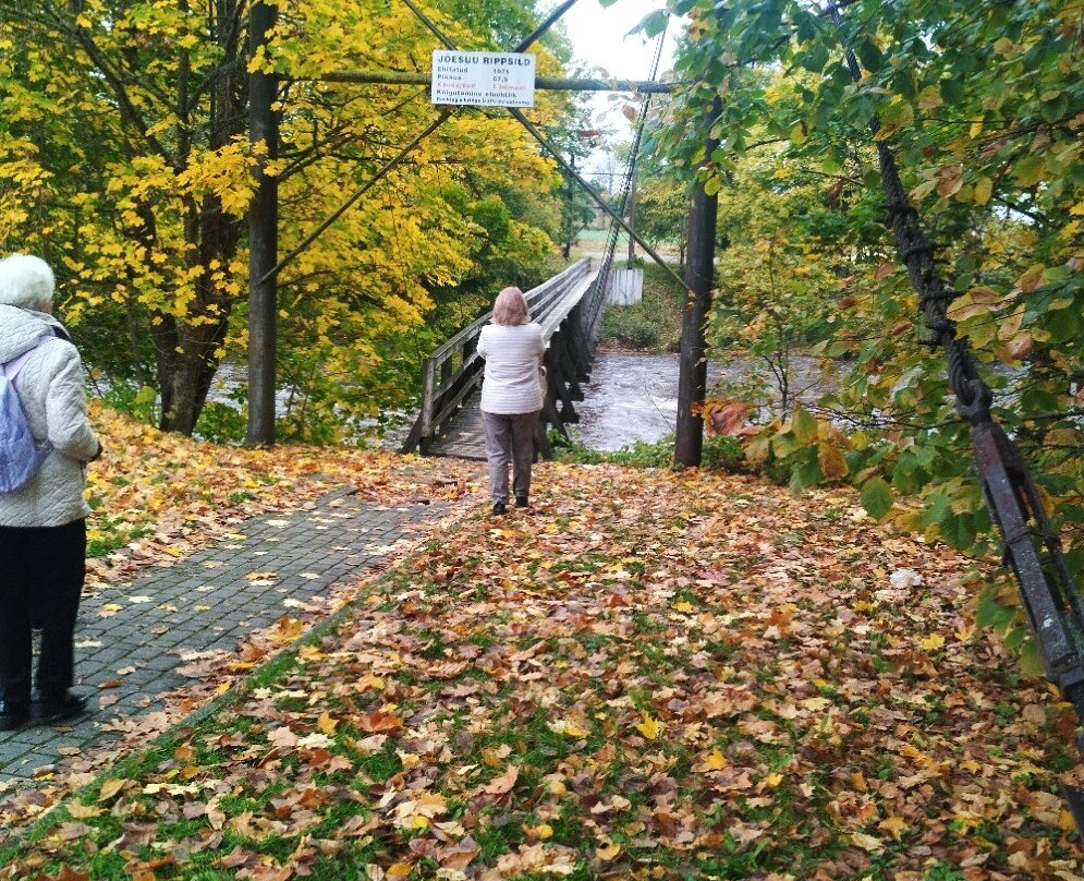 Joesuu Suspension Bridge-Parnu County必去景点