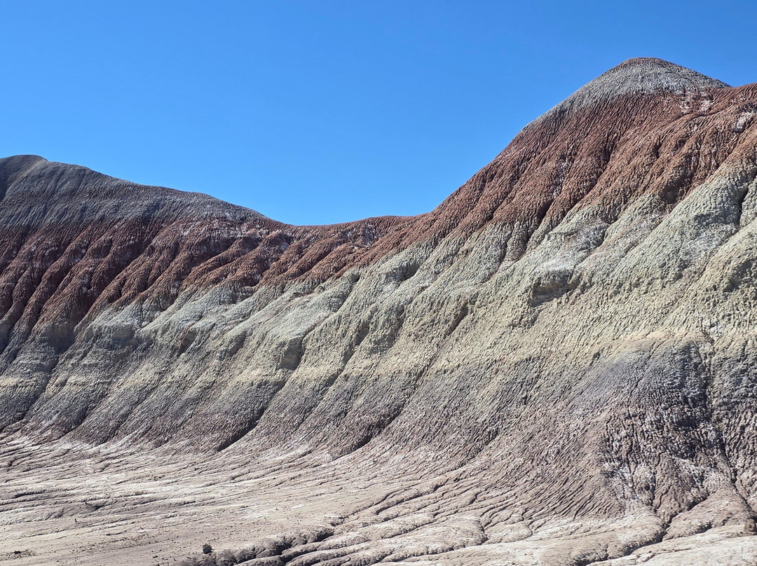 Petrified Forest National Park-霍尔布鲁克必去景点