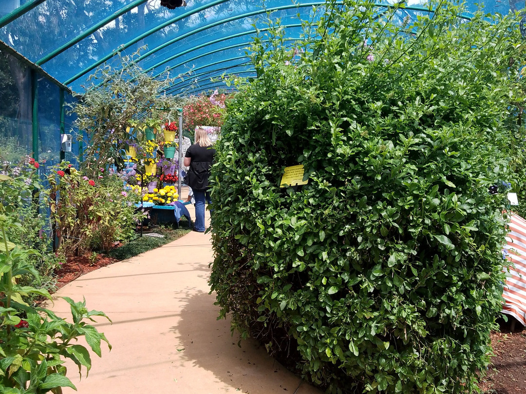 Bribie Island Butterfly House-Bongaree必去景点