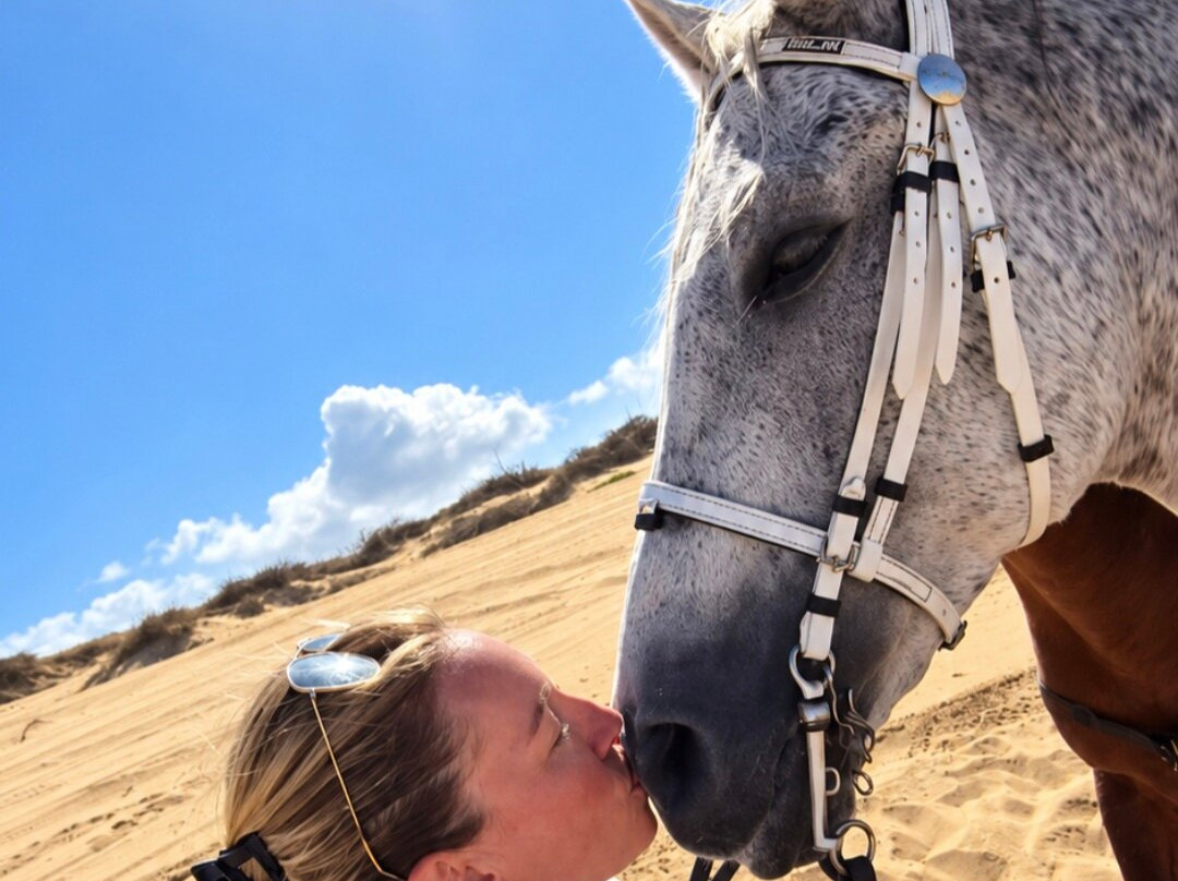 Cheval Essaouira-索维拉必去景点